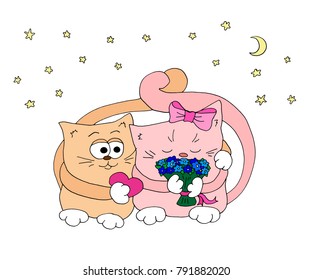 cat hugging under the starry sky on the day of St. Valentine