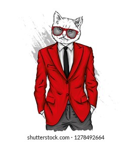 A cat with a human body in a jacket. Vector illustration. Hipster. Clothes and accessories. A man in a business suit.
