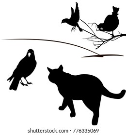 A cat is hunting a crow. Sparrows are sitting on a branch and watching.