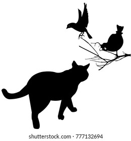 A cat is hunting a crow. Sparrows are sitting on a branch and watching.