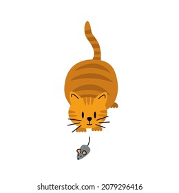 Cat is hunting the mouse. Orange striped  cat catches. Flat, cartoon. Isolated vector stock illustration EPS 10 on white background 
