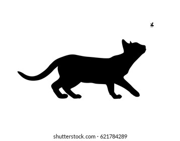 Cat hunts the fly, black silhouette on white background. Vector illustration