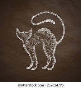 cat icon