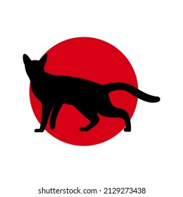 Cat icon. black cat silhouette. vector illustration