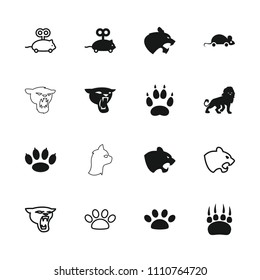 Cat icon. collection of 16 cat filled and outline icons such as lion, panther, mouse toy, paw. editable cat icons for web and mobile.