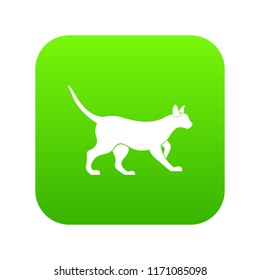 Cat icon digital green for any design isolated on white vector illustration