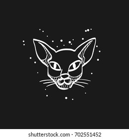 Cat icon in doodle sketch lines. Animal Halloween symbol dark black kitten fear