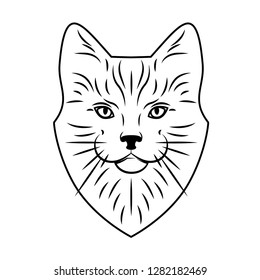 cat, icon, drawing, vector, illustration