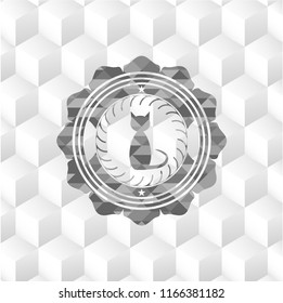 cat icon inside realistic grey emblem with cube white background