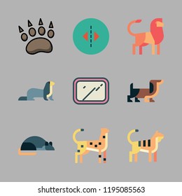 cat icon set. vector set about mirror, animal, lion and cheetah icons set.