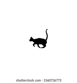 cat icon sign signifier vector