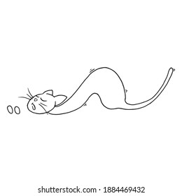 Cat icon. Vector cartoon funny cat.