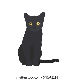 Cat icon, vector illustration design. Halloween collection.