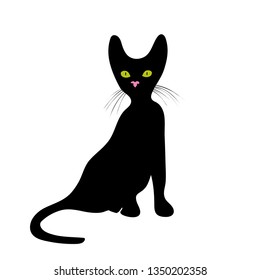 Cat icon vector illustration on white background