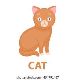 Cat icon of vector illustration for web and mobile design