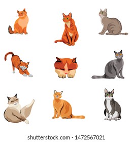 cat icon vector logo illustration,cartoon design,eps 10