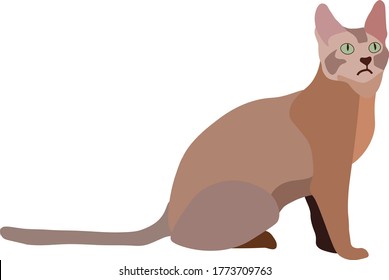 cat icon vector white background