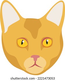 Cat icon. Yellow pet face. Kitten head