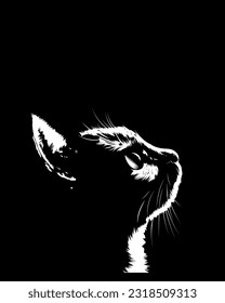 cat illuminated by light on black background