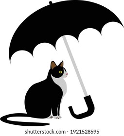 Cat  illustation design vector stock