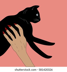 Cat illustration