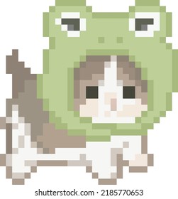 Cat illustration with toad hat, pixel art meme