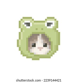 Cat illustration with toad hat, pixel art meme