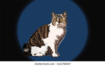 the cat illustration vector design