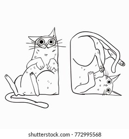 cat illustration vector drawing 