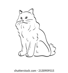 cat illustration vector hand drawn isolated on white background line art.