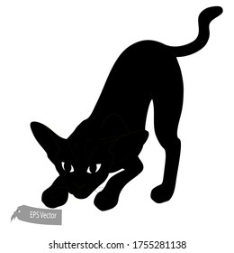 Katzen-Illustration. Vektorgrafik. Schwarze Silhouette insgesamt. Cartoon-Stil. Kann für Drucke, Präsentationen oder Illustrationen verwendet werden