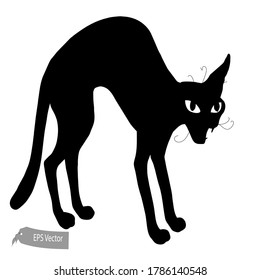 Cat illustration. Vector. Total black silhouette. Cartoon style. Can be used for prints, presentations or illustrations