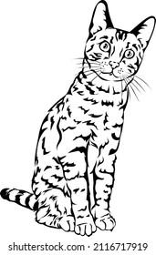 cat image, drawing, portrait, illustration, set, white, black, isolated, simple, icon, art, symbol, graphic, drawing