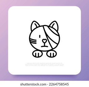 Cat injured, eye bandage. Veterinary clinic. Thin line icon, medical halp for pets. Vector illustration.