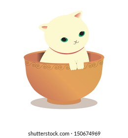The cat inside the bowl for soup.