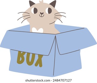 Cat Inside Box Vector Illustration