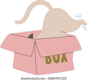 Cat Inside Box Vector Illustration