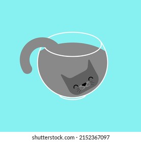 Cat inside jar isolated. kitten inside transparent glass pot.
