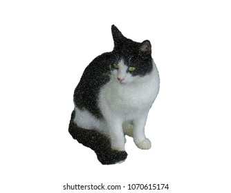 Cat. Isolated on white background. Vector illustration. Pointillism style.