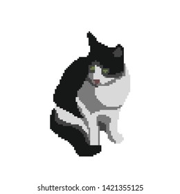 Cat. Isolated on white background. Vector illustration. Pixel art.