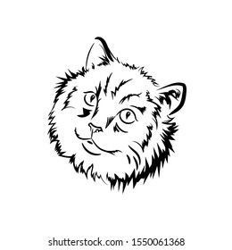 Cat isolated on white vector illustration. Ragdoll Cat  breed line art, outline graphic. Pussy kitten portrait, feline food cover design, veterinary vet clinic label hand drawn head of domestic pet
