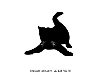 cat isolated on white, cat vector