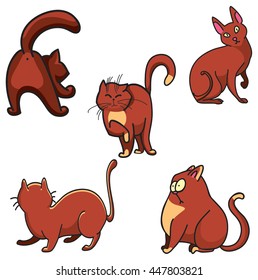 Cat isolated. Cat poses.