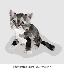 cat isolated realistic hand drawn vector and illustrations white background