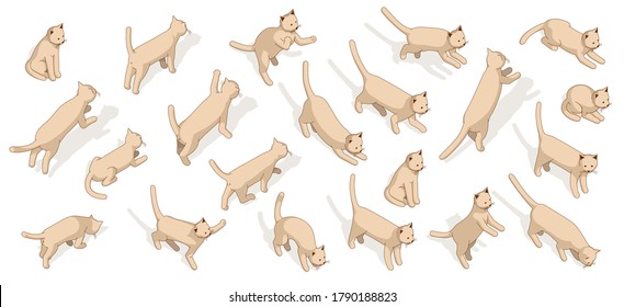 Cat Isometric Posing Set. 3d Domestic Cat Vector Illustration. Cartoon Kitten Walking Sitting Play And Other.