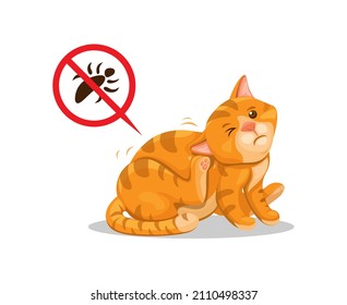 Cat itchy of lice. pet animal parasite skin problem cartoon illustration vector