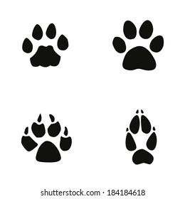cat, jaguar, dog, fox footprint