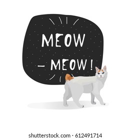 Cat Japanese Bobtail vector illustration isolated with banner meow-meow