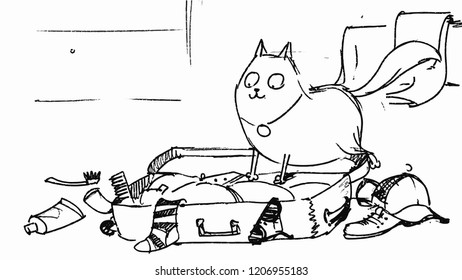 the cat jumped on the suitcase with his clothes,storyboard.