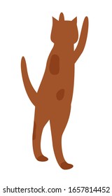 Cat jumping and begging food from owner. Spotted ruddy or brown pet isolated on white background. Funny little kitten stand on back legs. Vector illustration of domestic animal in flat style